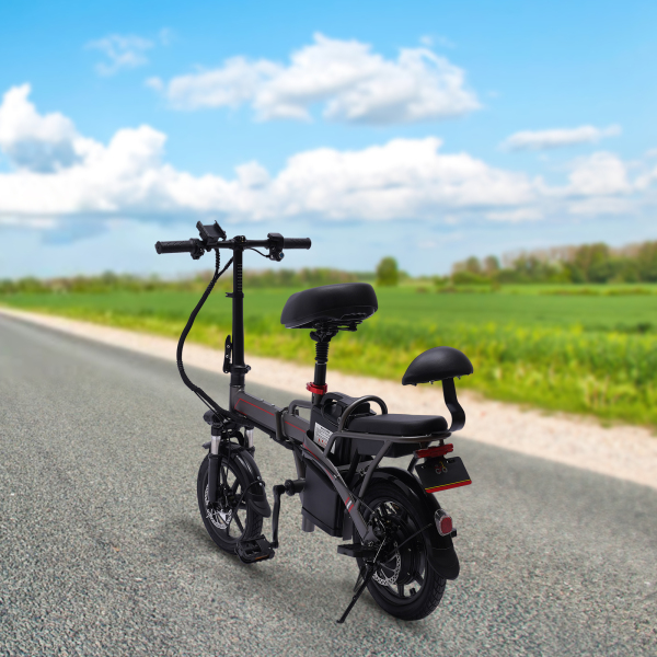 E-Bike plegable de 14 pulgadas con motor de 350 W 25 km/h y batería de litio extraíble E-Bike de ciudad Gris E-Bike plegable de 14 pulgadas con motor de 350 W 25 km/h y batería de litio extraíble E-Bike de ciudad Gris