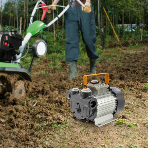 Bomba diésel, 550 W, 230 V, bomba de combustible biodiésel, autoaspirante, 60 l/min Bomba diésel, 550 W, 230 V, bomba de combustible biodiésel, autoaspirante, 60 l/min