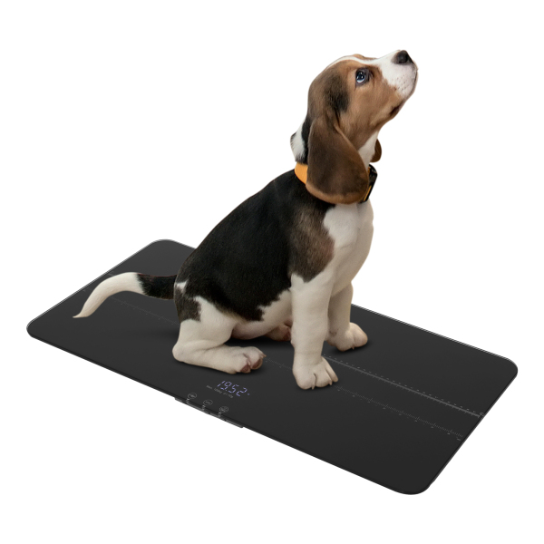 Báscula electrónica de 220 lb con báscula - negra