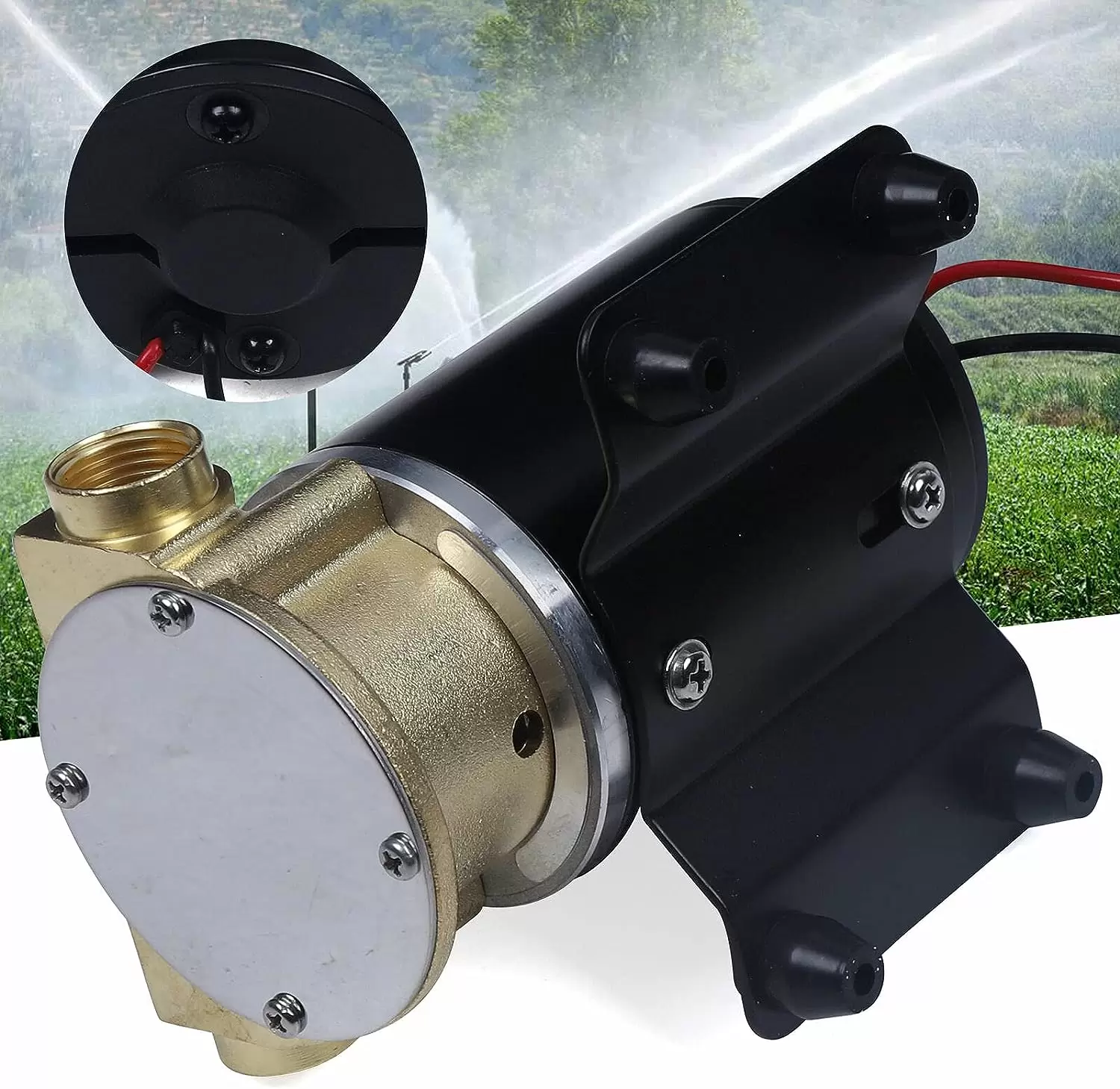 Bomba de alta presión de 23 l/min, bomba de refrigeración de motor autocebante de 12 V