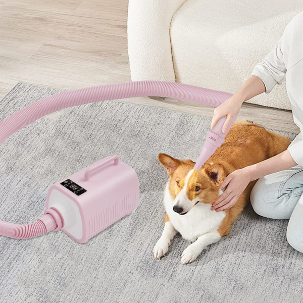 Secador de pelo para perros, secador de peluquería canina, secador para mascotas