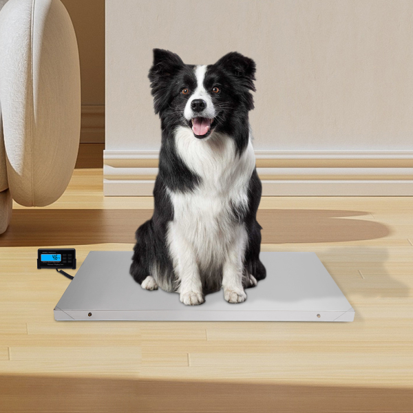 CNCEST Báscula digital de mesa para paquetes de 300 kg, de acero inoxidable, con plataforma grande, para mascotas