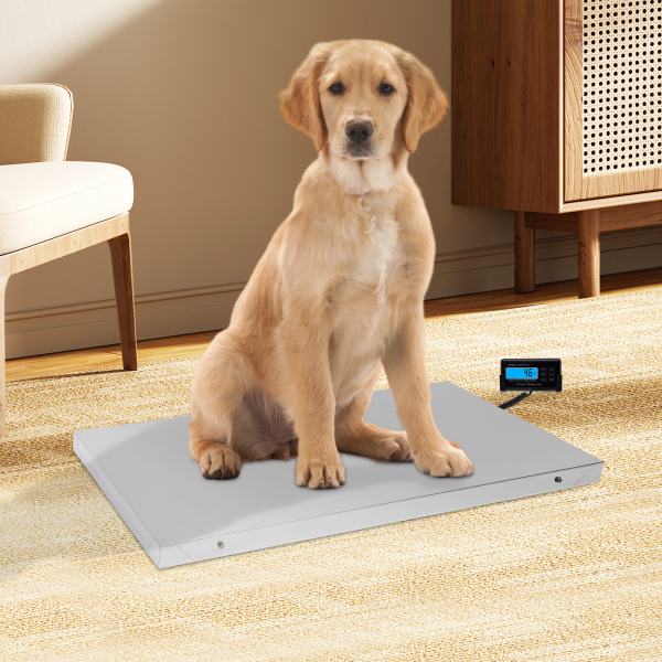 CNCEST Báscula digital de mesa para paquetes de 300 kg, de acero inoxidable, con plataforma grande, para mascotas