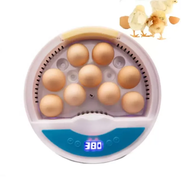 Incubadora completamente automática incubadora de 9 huevos