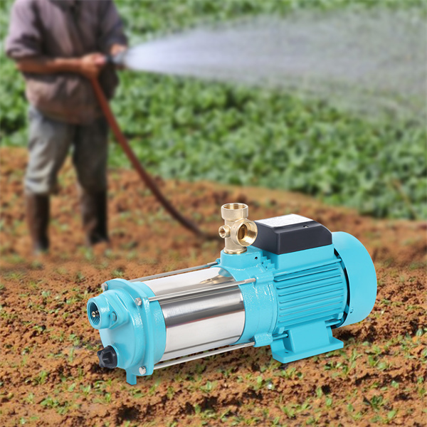 Bomba centrífuga de jardín (1300 W, 9,8 bar, interruptor de presión)