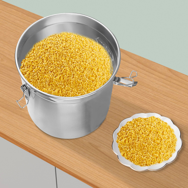 6L Recipiente de acero inoxidable para cereales con tapa, cubo de cocina, recipiente para harina, recipiente de almacenamiento para alimentos 6L Recipiente de acero inoxidable para cereales con tapa, cubo de cocina, recipiente para harina, recipiente de almacenamiento para alimentos