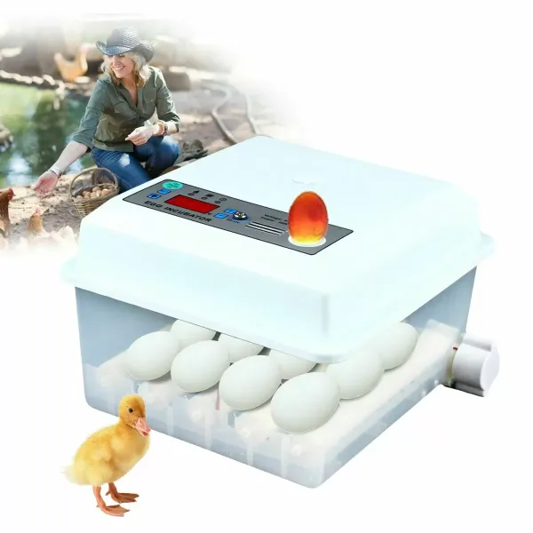 Incubadora de 16 huevos, 30 W, con indicador de temperatura LED y ventilador integrado para aves de corral