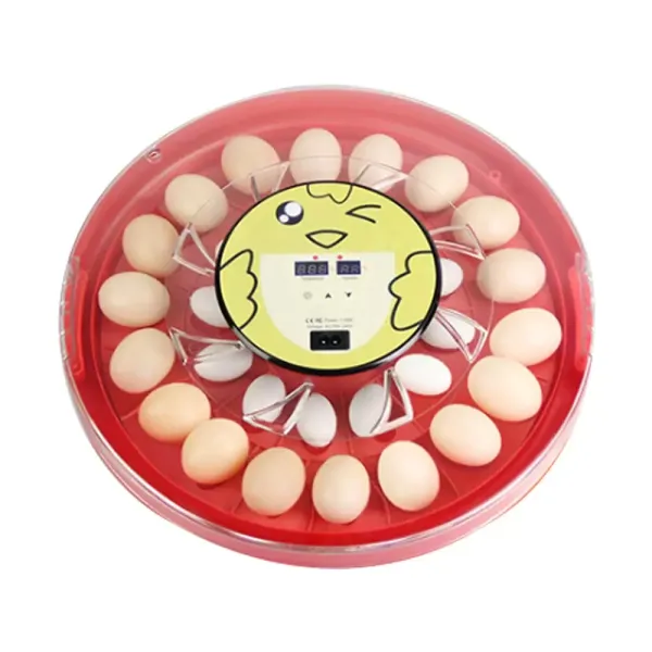 Incubadora de Huevos con Giro Automático de Huevos Mini Incubadora Digital para Incubar 30 Huevos para Gallina