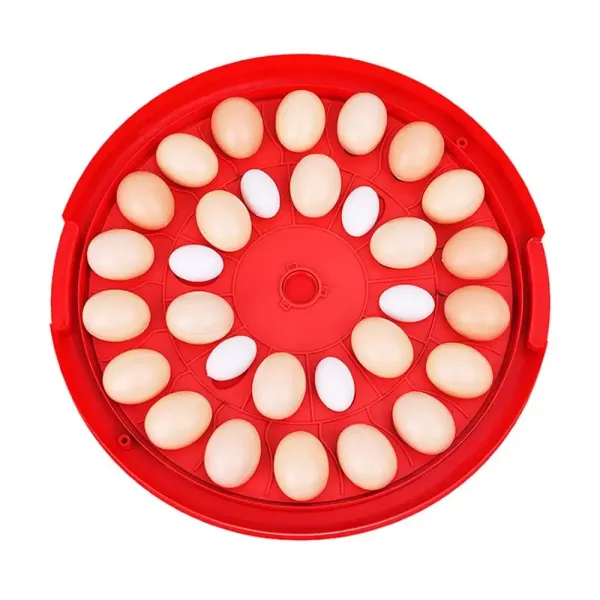 Incubadora de Huevos con Giro Automático de Huevos Mini Incubadora Digital para Incubar 30 Huevos para Gallina
