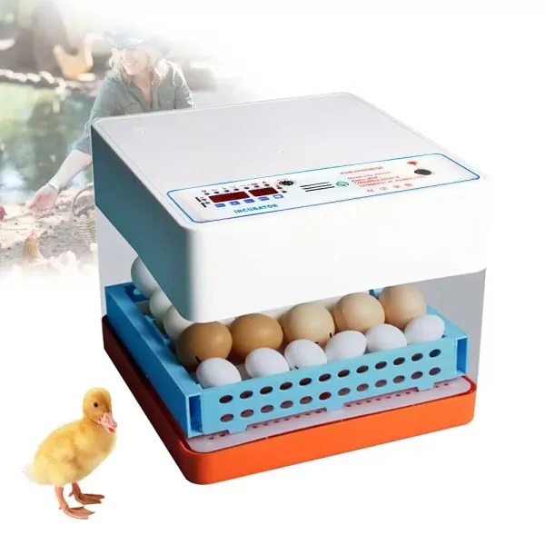Incubadora 24 huevos Rotación automática  completamente