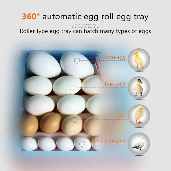 Incubadora 24 huevos Rotación automática completamente Incubadora 24 huevos Rotación automática completamente