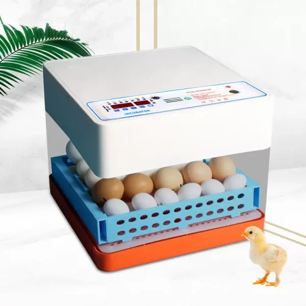 Incubadora 24 huevos Rotación automática completamente Incubadora 24 huevos Rotación automática completamente