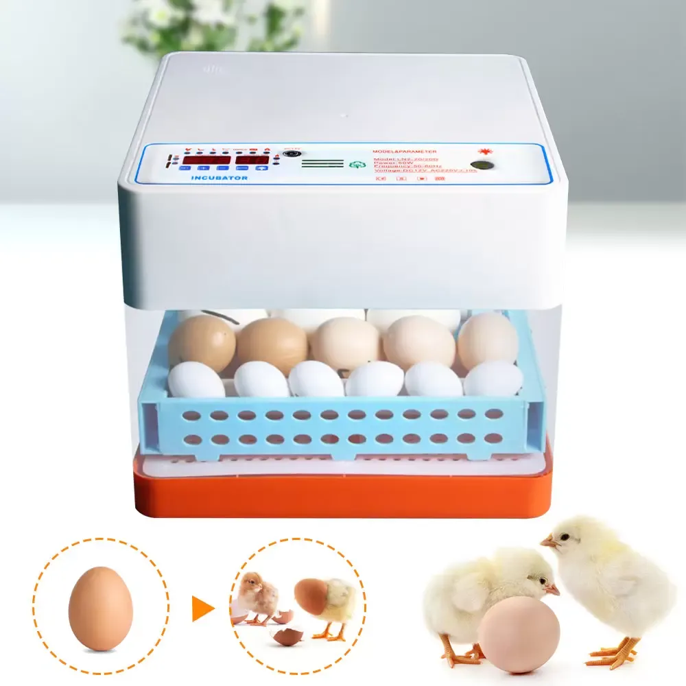 Incubadora 24 huevos Rotación automática  completamente