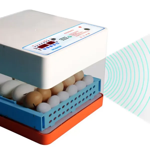 Incubadora 24 huevos Rotación automática  completamente