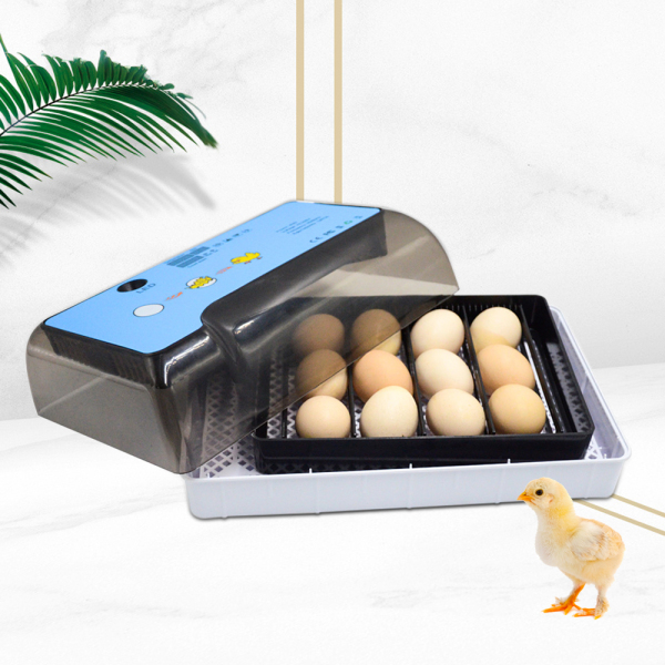 Máquina incubadora automática para 12 huevos, con indicador LED inteligente para gallinas, patos, ganes, palomas, etc