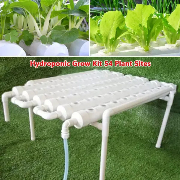 Kit de cultivo hidropónico, 54 agujeros, tubo de PVC hidropónico, sistema de plantas de jardín para verduras Kit de cultivo hidropónico, 54 agujeros, tubo de PVC hidropónico, sistema de plantas de jardín para verduras