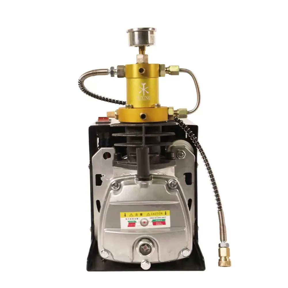 CNCEST Bomba de compresor de aire PCP, 2800 W, 30 MPA, 4500 PSI, bomba de inflado de 220 V (tipo 3)