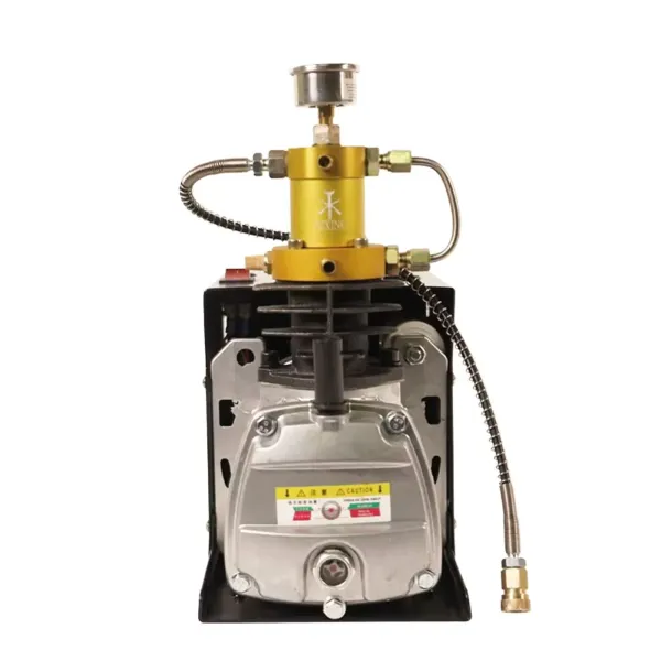 CNCEST Bomba de compresor de aire PCP, 2800 W, 30 MPA, 4500 PSI, bomba de inflado de 220 V (tipo 3)