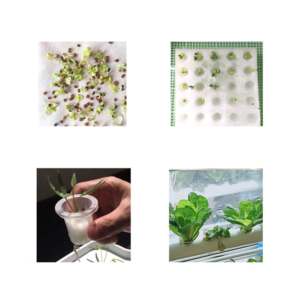 Kit de cultivo hidropónico con 36 agujeros, 4 tubos, 2 capas, Sistema de cultivo hidropónico para verduras, ensaladas, flores, frutas Kit de cultivo hidropónico con 36 agujeros, 4 tubos, 2 capas, Sistema de cultivo hidropónico para verduras, ensaladas, flores, frutas