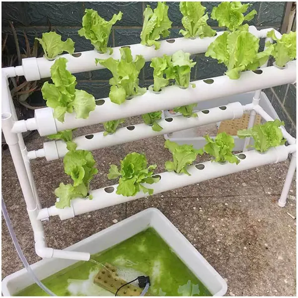 Kit de cultivo hidropónico con 36 agujeros, 4 tubos, 2 capas, Sistema de cultivo hidropónico para verduras, ensaladas, flores, frutas