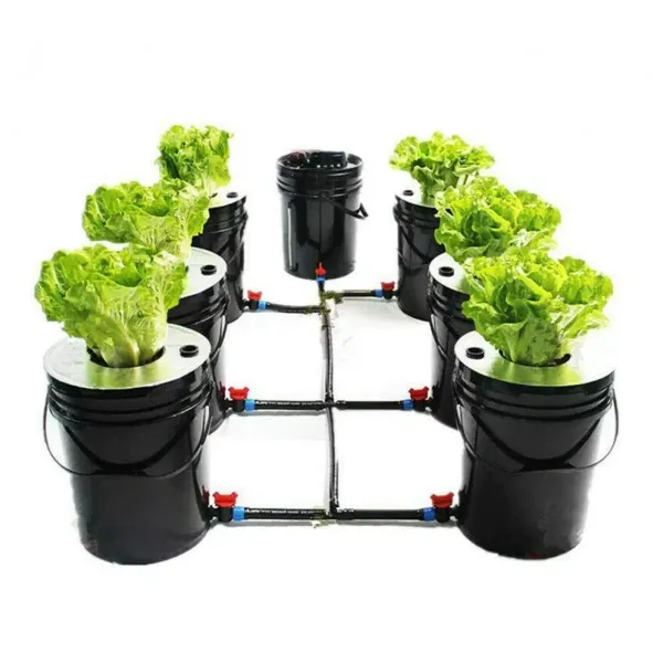 Cultivo de aguas profundas, complejo hidropónico, cultivo hidropónico, sistema de plantación, sin tierra, 1 kit de 6 cubos (20 L)
