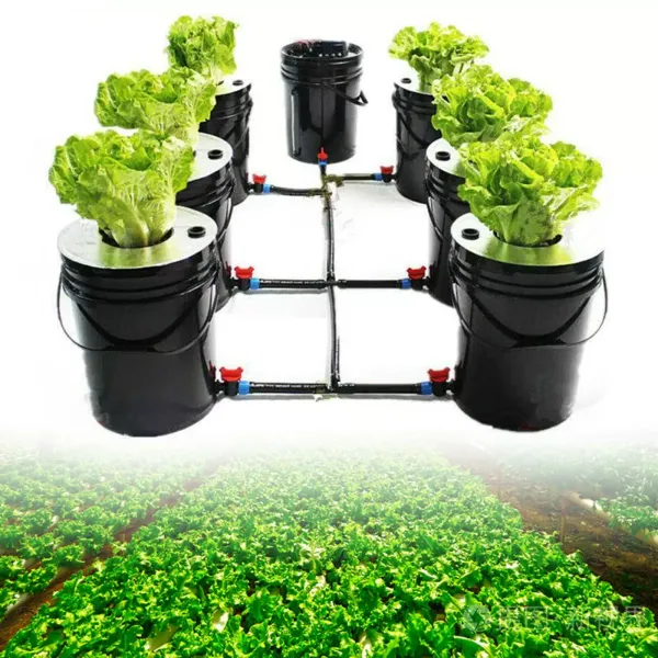 Cultivo de aguas profundas, complejo hidropónico, cultivo hidropónico, sistema de plantación, sin tierra, 1 kit de 6 cubos (20 L)