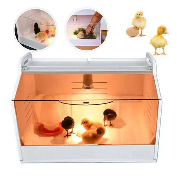 Incubadora de polluelos Caja de cría de polluelos Calor Lámpara Incubadora Brutincubadora Polluelos Caja de Calor Crítica Reptiles Aves 220V
