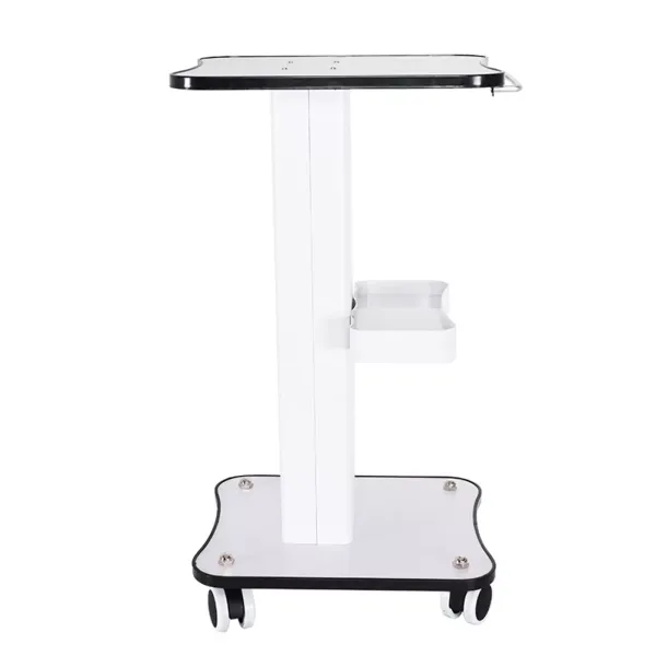 Carrito con ruedas para cosméticos, carrito de belleza, 34 x 38 x 69 cm, con cesta de almacenamiento para belleza, spa (carga máxima de 40 kg)