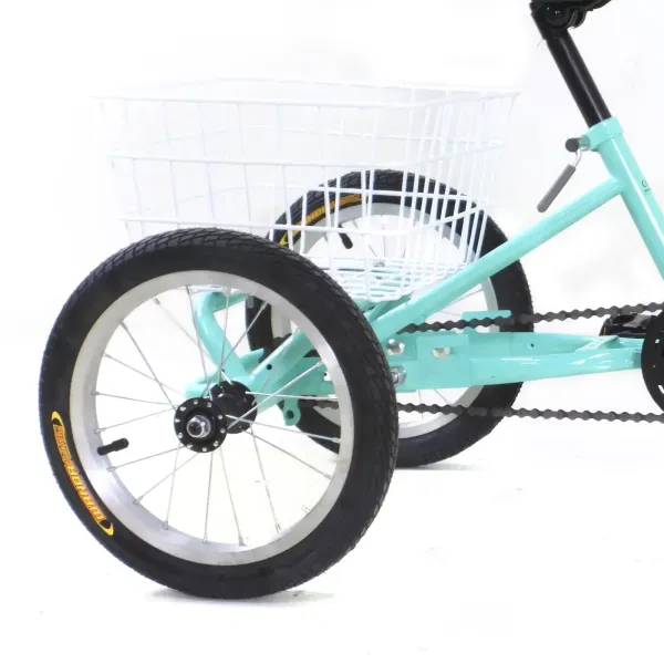 CNCEST Triciclo de 3 ruedas de 14 pulgadas para niños/niñas, de una sola velocidad, color verde claro, regalo para niños