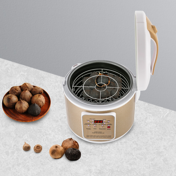 6L Fermentador de ajo negro, Caja de fermentación inteligente automática, Máquina de fermentación de ajo negro