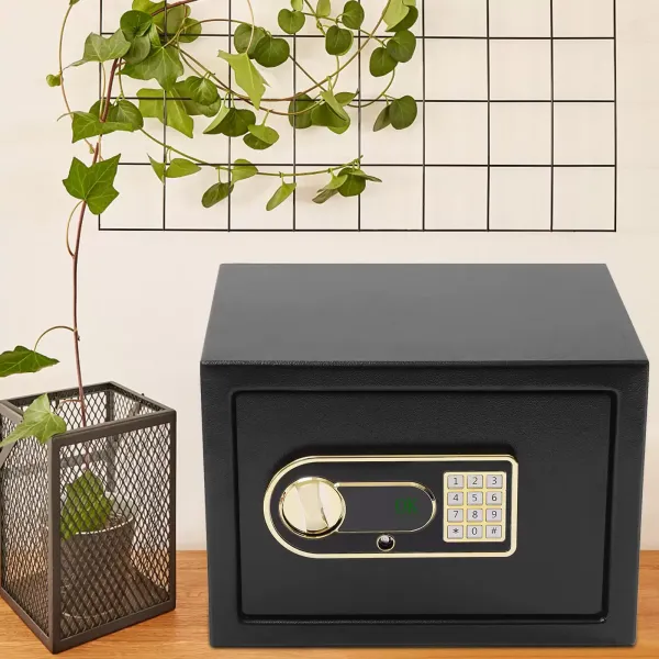 Armario de protección de valor Q235 de acero al carbono con cerradura de combinación electrónica de 22 l Armario de protección de valor Q235 de acero al carbono con cerradura de combinación electrónica de 22 l