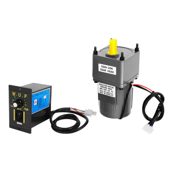 0-1400 Reductor de velocidad Motor de engranajes AC 220 V 40 W Inverter Motor de engranajes asíncrono monofásico Motor de alto par