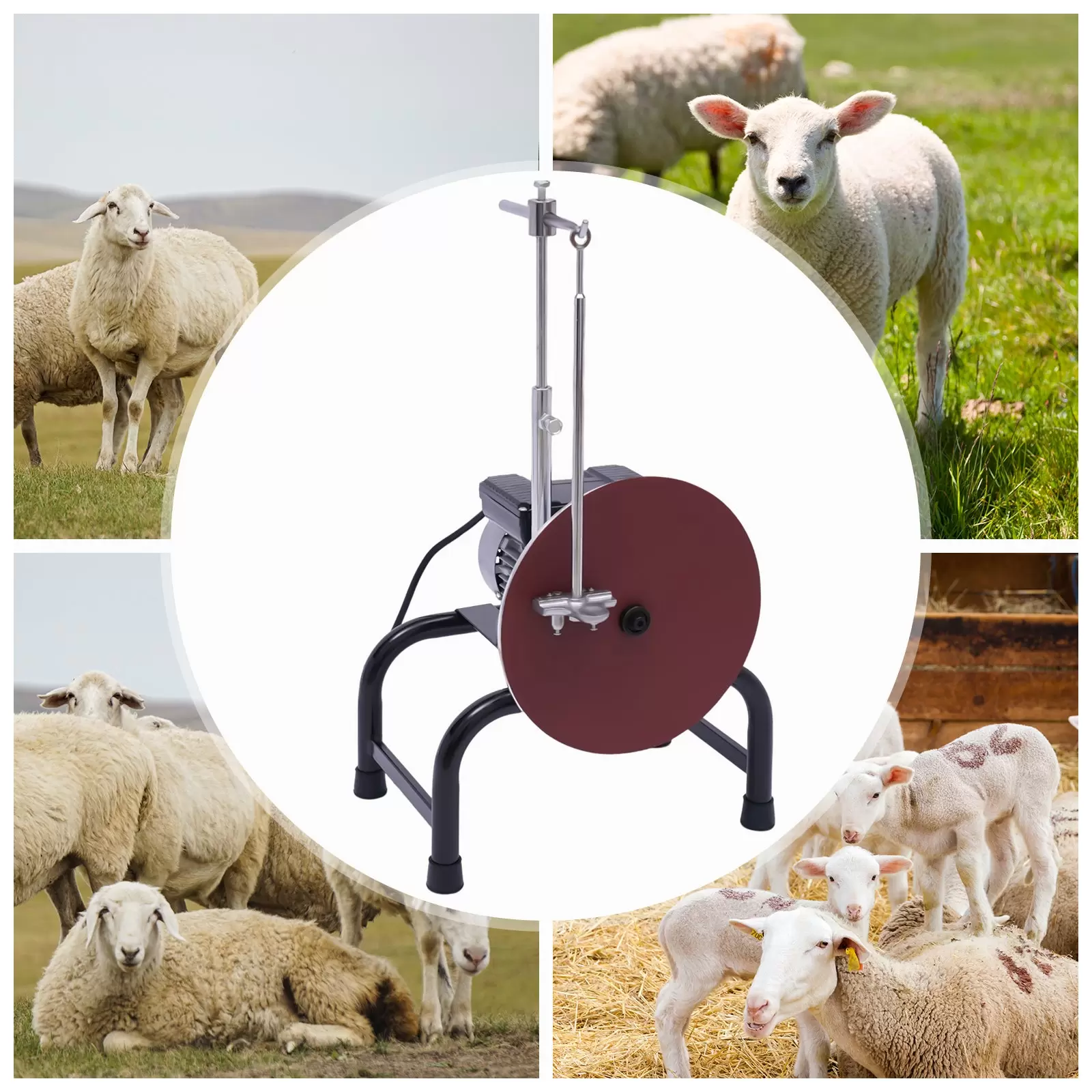 Cortador eléctrico de ovejas, tijeras, amoladora de acero 480 W 220 V