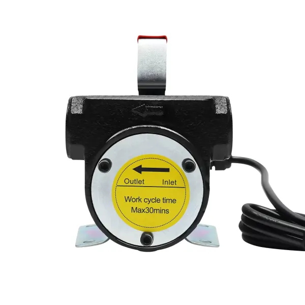 Bomba diésel automática de 12 V, 175 W, 45 l/min, con tubo de salida de aceite de alambre de acero transparente