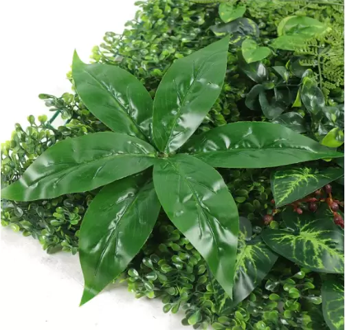 CNCEST 12 esteras de pared para plantas de 40 x 60 cm, para jardín vertical, con plantas artificiales, flores de boj artificiales
