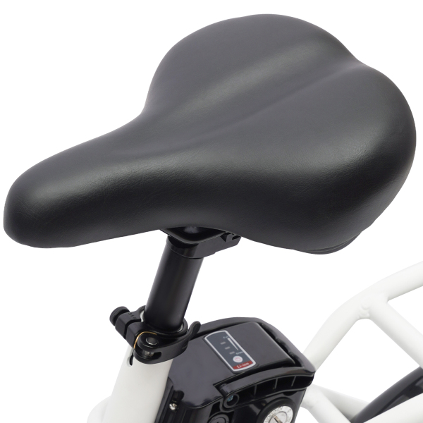 Bicicleta resistente y de primera clase de 20 pulgadas para niños niñas mujeres hombres frenos de disco delante y detrás Bicicleta resistente y de primera clase de 20 pulgadas para niños niñas mujeres hombres frenos de disco delante y detrás
