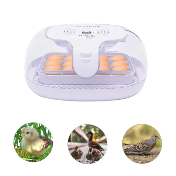 Incubadora de 16 huevos, totalmente automática, digital, incubadora de pollos, 20 – 50 ℃, control de temperatura, pantalla LCD