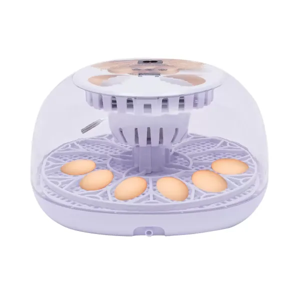 Incubadora automática de huevos de 12 huevos, control de temperatura, incubadora automática para huevos de gallina, aves de corral, patos y pájaros