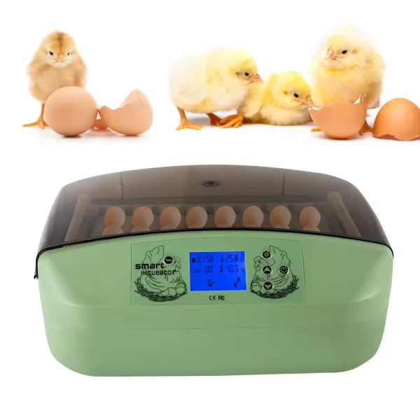 Incubadora de huevos de incubadora inteligente digital para huevos de ganso de pato, 32 huevos de 80 W