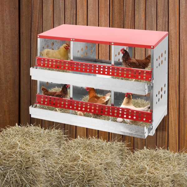 Cajas nido para gallinas, caja nido de 6 agujeros para gallinas, gallinero para gallinas ponedoras Cajas nido para gallinas, caja nido de 6 agujeros para gallinas, gallinero para gallinas ponedoras