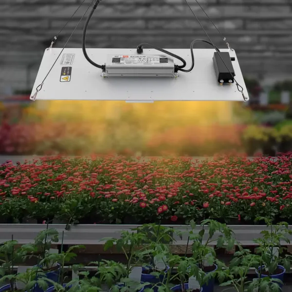 Luces de cultivo LED, luces de cultivo para interiores, tienda de cultivo 3x5 2x4, diodos y controladores LM301B de espectro completo Luces de cultivo LED, luces de cultivo para interiores, tienda de cultivo 3x5 2x4, diodos y controladores LM301B de espectro completo