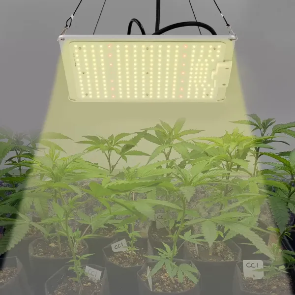 Lámpara LED de espectro completo para plantas con luz LED LM301B y controlador regulable, 110w, luz de crecimiento para vegetales y flores