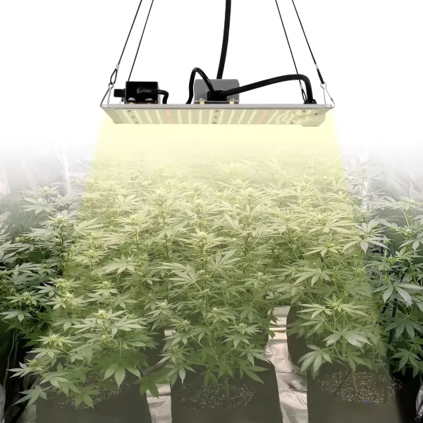 Lámpara LED de espectro completo para plantas con luz LED LM301B y controlador regulable, 110w, luz de crecimiento para vegetales y flores