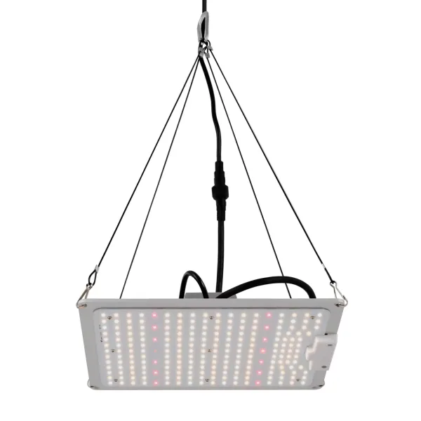 Lámpara LED de espectro completo para plantas con luz LED LM301B y controlador regulable, 110w, luz de crecimiento para vegetales y flores