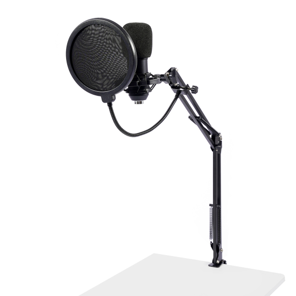 Juego de micrófono para podcast con cambiador de voz, estudio de grabación con micrófono de condensador para canto, PC,TikTok, YouTube Juego de micrófono para podcast con cambiador de voz, estudio de grabación con micrófono de condensador para canto, PC,TikTok, YouTube